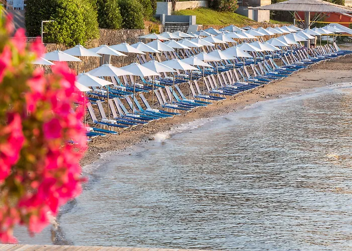 Aeolos Θέρετρο